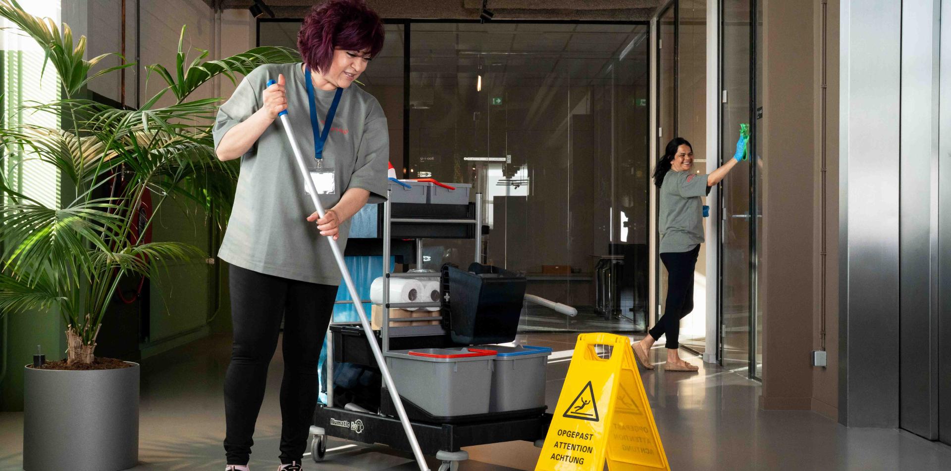 Reino Interieurverzorgers